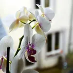 Lehmgefühl, Design Vier, La Petite Maison Сasa de vacaciones Tréveris