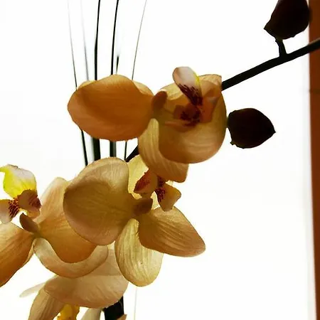 Lehmgefuehl, Design Vier, La Petite Maison * Trewir