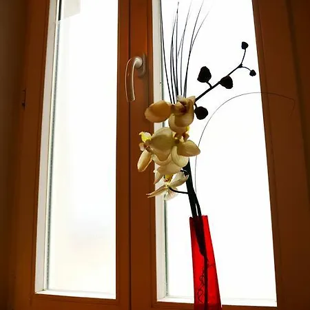 Dom wakacyjny Lehmgefuehl, Design Vier, La Petite Maison