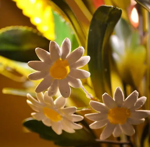 Casa de Férias Lehmgefuehl, Design Vier, La Petite Maison Trier