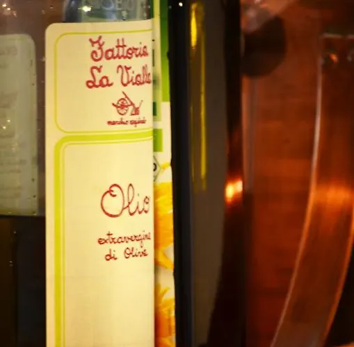 Lehmgefuehl, Design Vier, La Petite Maison Casa vacanze Treviri